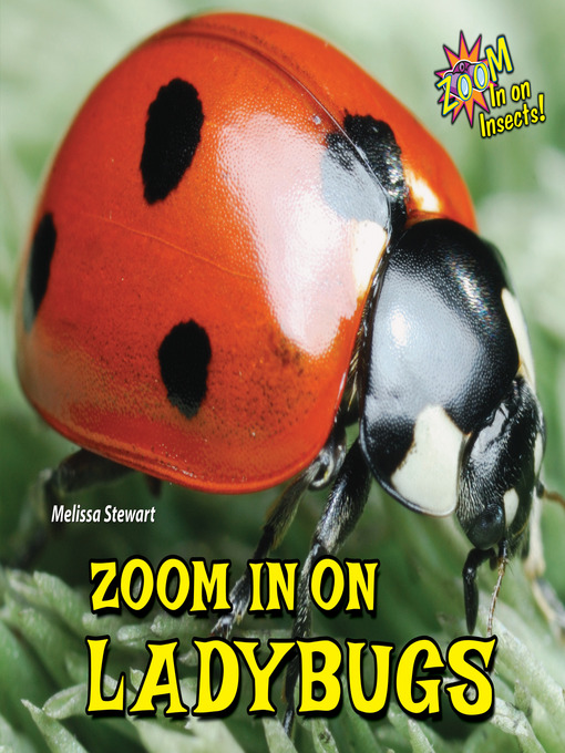 Title details for Zoom In on Ladybugs by Melissa Stewart - Wait list